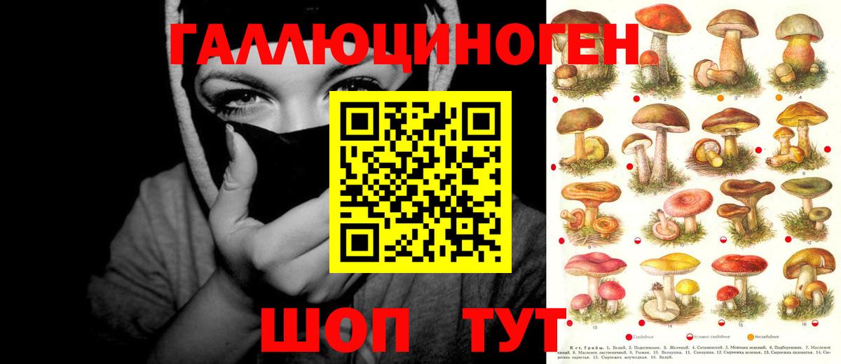 Галлюциногенные грибы прущие грибы  Псилоцибиновые грибы мицелий  Ревда  Вход с VPN 